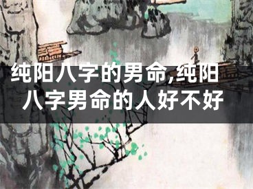 纯阳八字的男命,纯阳八字男命的人好不好