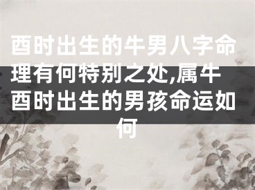 酉时出生的牛男八字命理有何特别之处,属牛酉时出生的男孩命运如何