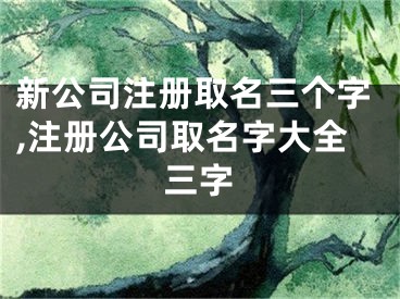 新公司注册取名三个字,注册公司取名字大全三字