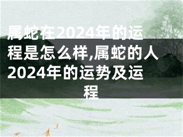 属蛇在2024年的运程是怎么样,属蛇的人2024年的运势及运程