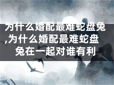 为什么婚配最难蛇盘兔,为什么婚配最难蛇盘兔在一起对谁有利