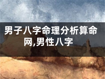 男子八字命理分析算命网,男性八字