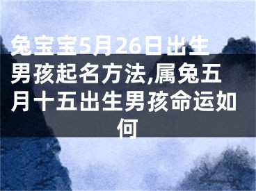 兔宝宝5月26日出生男孩起名方法,属兔五月十五出生男孩命运如何
