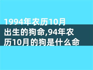 1994年农历10月出生的狗命,94年农历10月的狗是什么命