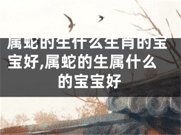 属蛇的生什么生肖的宝宝好,属蛇的生属什么的宝宝好