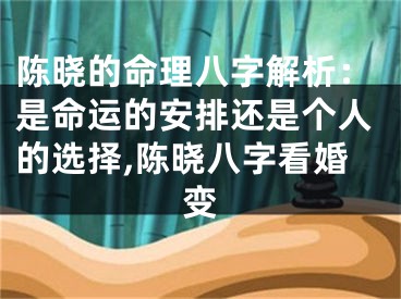 陈晓的命理八字解析：是命运的安排还是个人的选择,陈晓八字看婚变