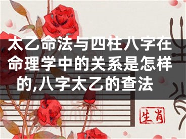太乙命法与四柱八字在命理学中的关系是怎样的,八字太乙的查法
