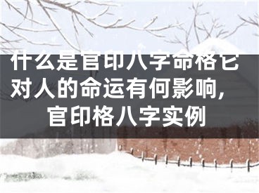 什么是官印八字命格它对人的命运有何影响,官印格八字实例