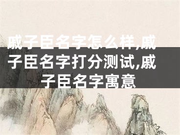 戚子臣名字怎么样,戚子臣名字打分测试,戚子臣名字寓意