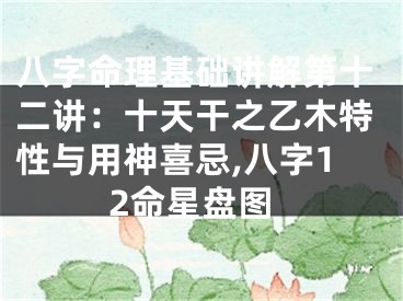 八字命理基础讲解第十二讲：十天干之乙木特性与用神喜忌,八字12命星盘图