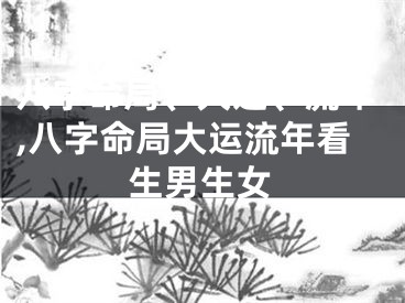 八字命局、大运、流年,八字命局大运流年看生男生女