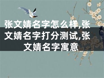 张文婧名字怎么样,张文婧名字打分测试,张文婧名字寓意
