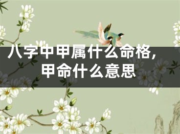 八字中甲属什么命格,甲命什么意思