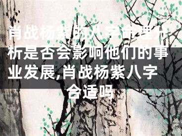 肖战杨紫的八字命理分析是否会影响他们的事业发展,肖战杨紫八字合适吗