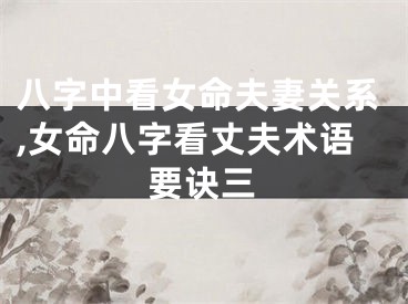 八字中看女命夫妻关系,女命八字看丈夫术语要诀三