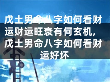 戊土男命八字如何看财运财运旺衰有何玄机,戊土男命八字如何看财运好坏