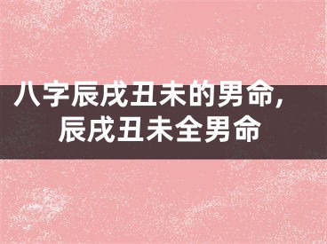 八字辰戌丑未的男命,辰戌丑未全男命