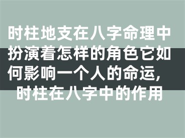时柱地支在八字命理中扮演着怎样的角色它如何影响一个人的命运,时柱在八字中的作用