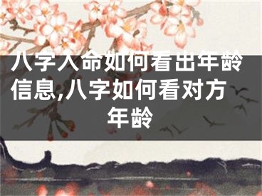 八字入命如何看出年龄信息,八字如何看对方年龄