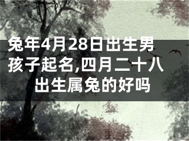 兔年4月28日出生男孩子起名,四月二十八出生属兔的好吗