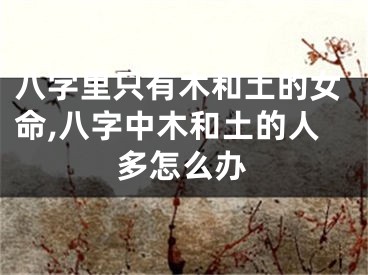 八字里只有木和土的女命,八字中木和土的人多怎么办