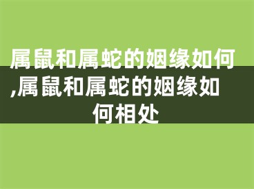 属鼠和属蛇的姻缘如何,属鼠和属蛇的姻缘如何相处