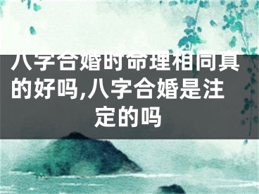 八字合婚时命理相同真的好吗,八字合婚是注定的吗