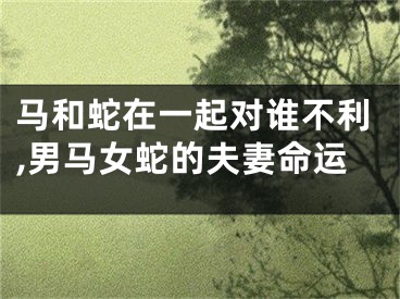 马和蛇在一起对谁不利,男马女蛇的夫妻命运