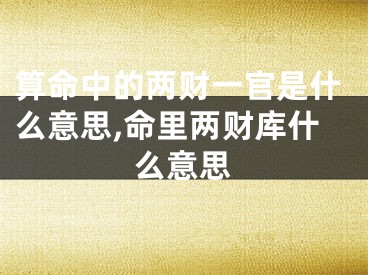 算命中的两财一官是什么意思,命里两财库什么意思