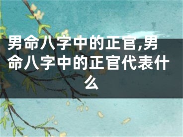 男命八字中的正官,男命八字中的正官代表什么