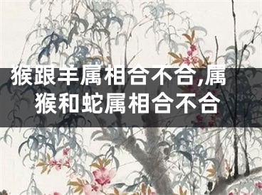 猴跟羊属相合不合,属猴和蛇属相合不合