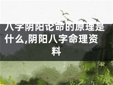 八字阴阳论命的原理是什么,阴阳八字命理资料