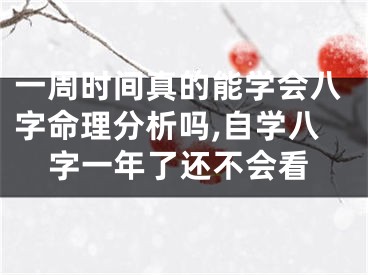 一周时间真的能学会八字命理分析吗,自学八字一年了还不会看