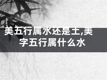 美五行属水还是土,美字五行属什么水
