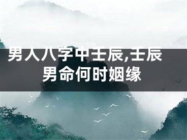 男人八字中壬辰,壬辰男命何时姻缘