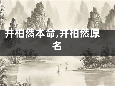 井柏然本命,井柏然原名