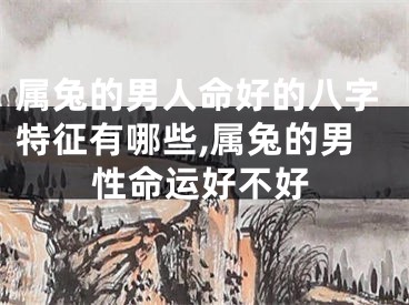属兔的男人命好的八字特征有哪些,属兔的男性命运好不好