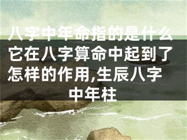 八字中年命指的是什么它在八字算命中起到了怎样的作用,生辰八字中年柱