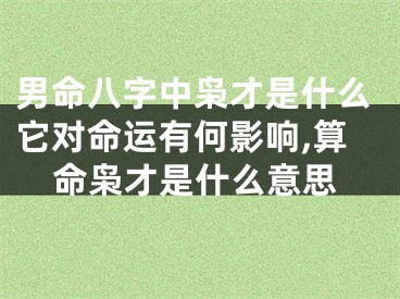 男命八字中枭才是什么它对命运有何影响,算命枭才是什么意思