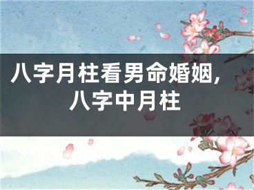 八字月柱看男命婚姻,八字中月柱
