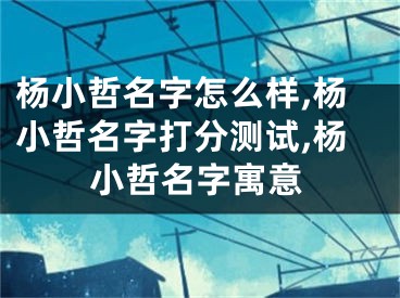 杨小哲名字怎么样,杨小哲名字打分测试,杨小哲名字寓意