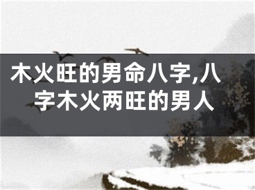木火旺的男命八字,八字木火两旺的男人