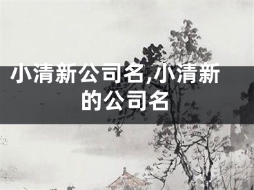 小清新公司名,小清新的公司名