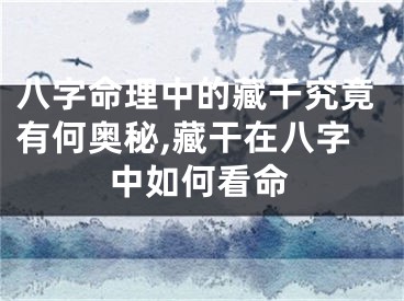 八字命理中的藏干究竟有何奥秘,藏干在八字中如何看命