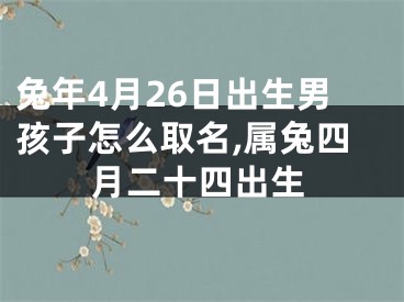 兔年4月26日出生男孩子怎么取名,属兔四月二十四出生