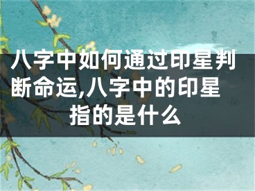 八字中如何通过印星判断命运,八字中的印星指的是什么