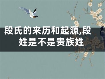 段氏的来历和起源,段姓是不是贵族姓