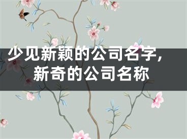少见新颖的公司名字,新奇的公司名称