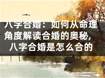 八字合婚：如何从命理角度解读合婚的奥秘,八字合婚是怎么合的