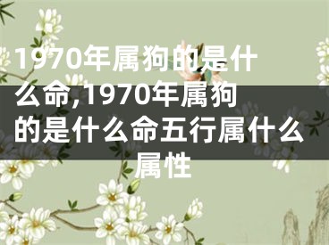 1970年属狗的是什么命,1970年属狗的是什么命五行属什么属性